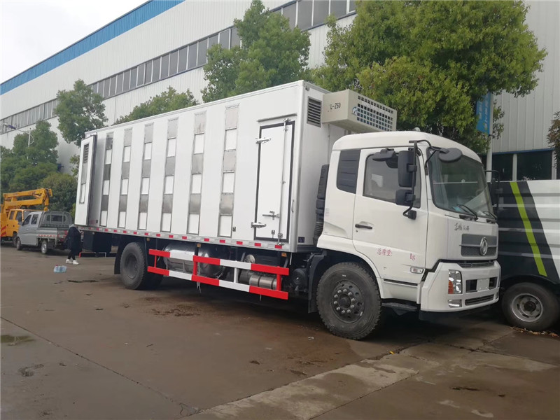 東風天錦小三軸散裝飼料運輸車帶環保和燃油，上戶辦營運證無憂